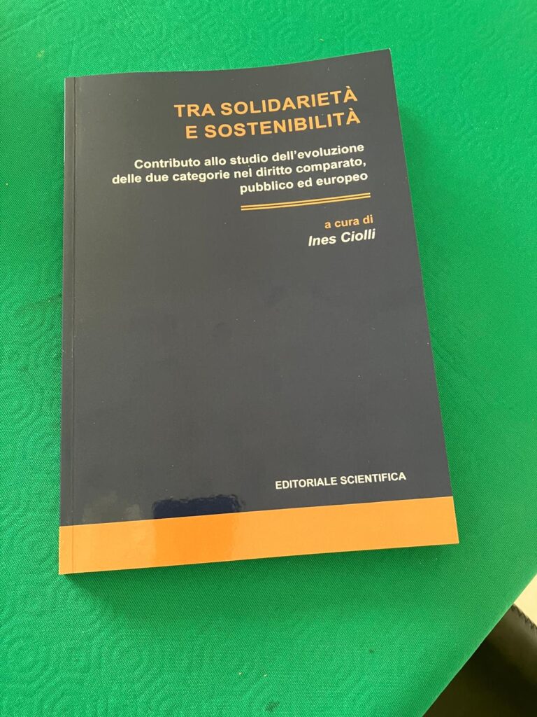 Tra solidarietà e sostenibilità. Contributo allo studio dell'evoluzione delle due categorie nel diritto comparato, pubblico ed europeo
